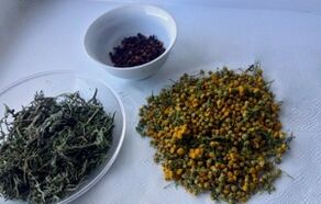 gyógynövények a paraziták eltávolítására a szervezetből